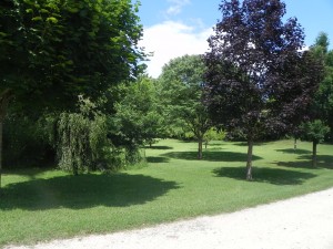 Parc et jardin - Le gîte Les Chaises Longues